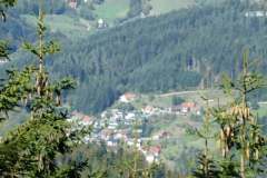 P1060867