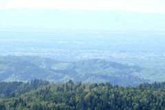P1060882