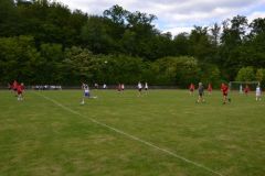 fv20140517_130
