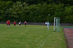 fv20140517_134